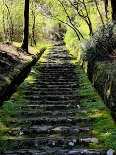 Days 12-13: Hakone