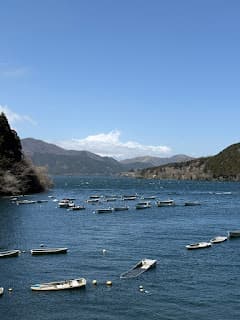 Days 12-13: Hakone