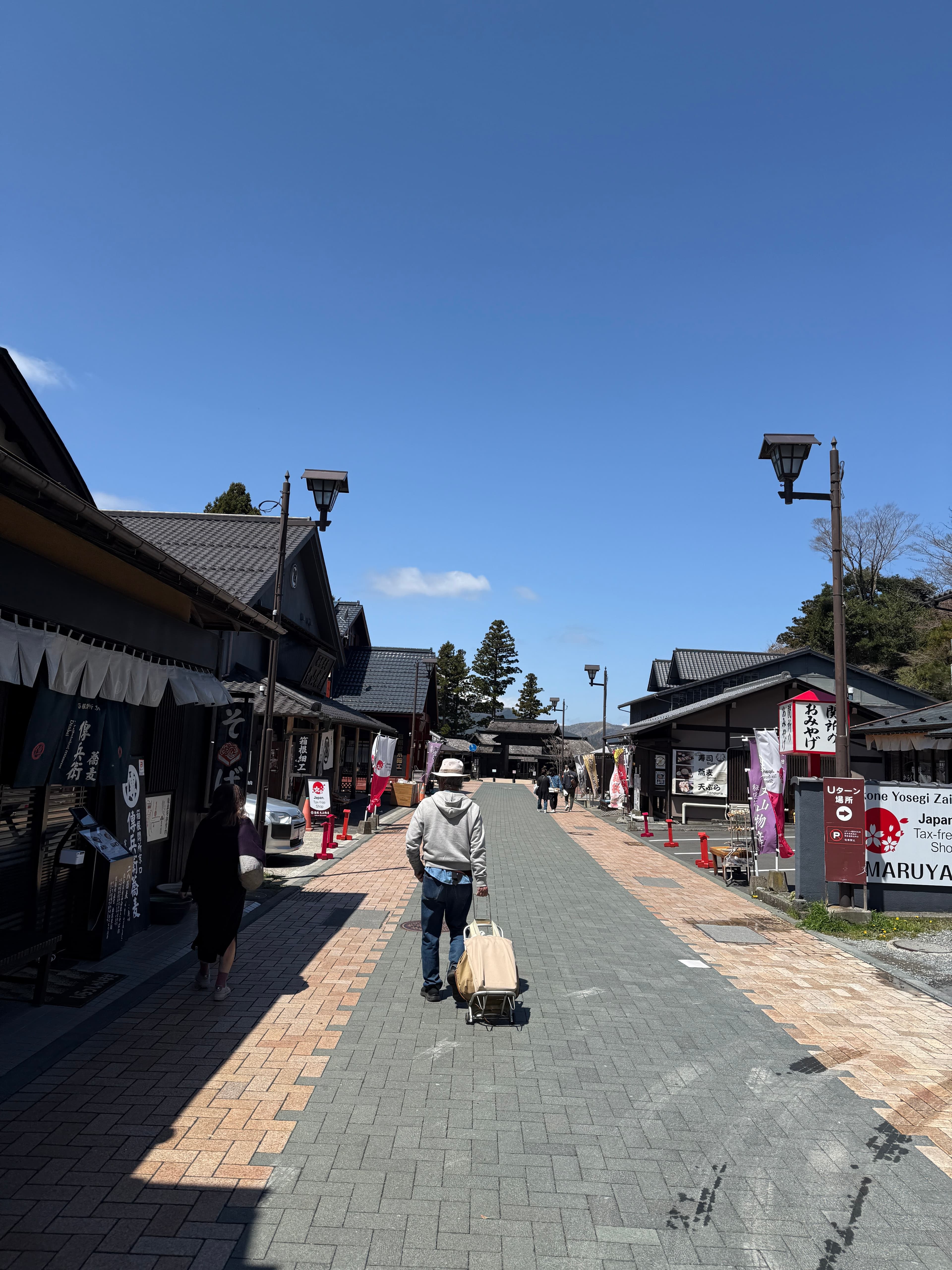 Days 12-13: Hakone