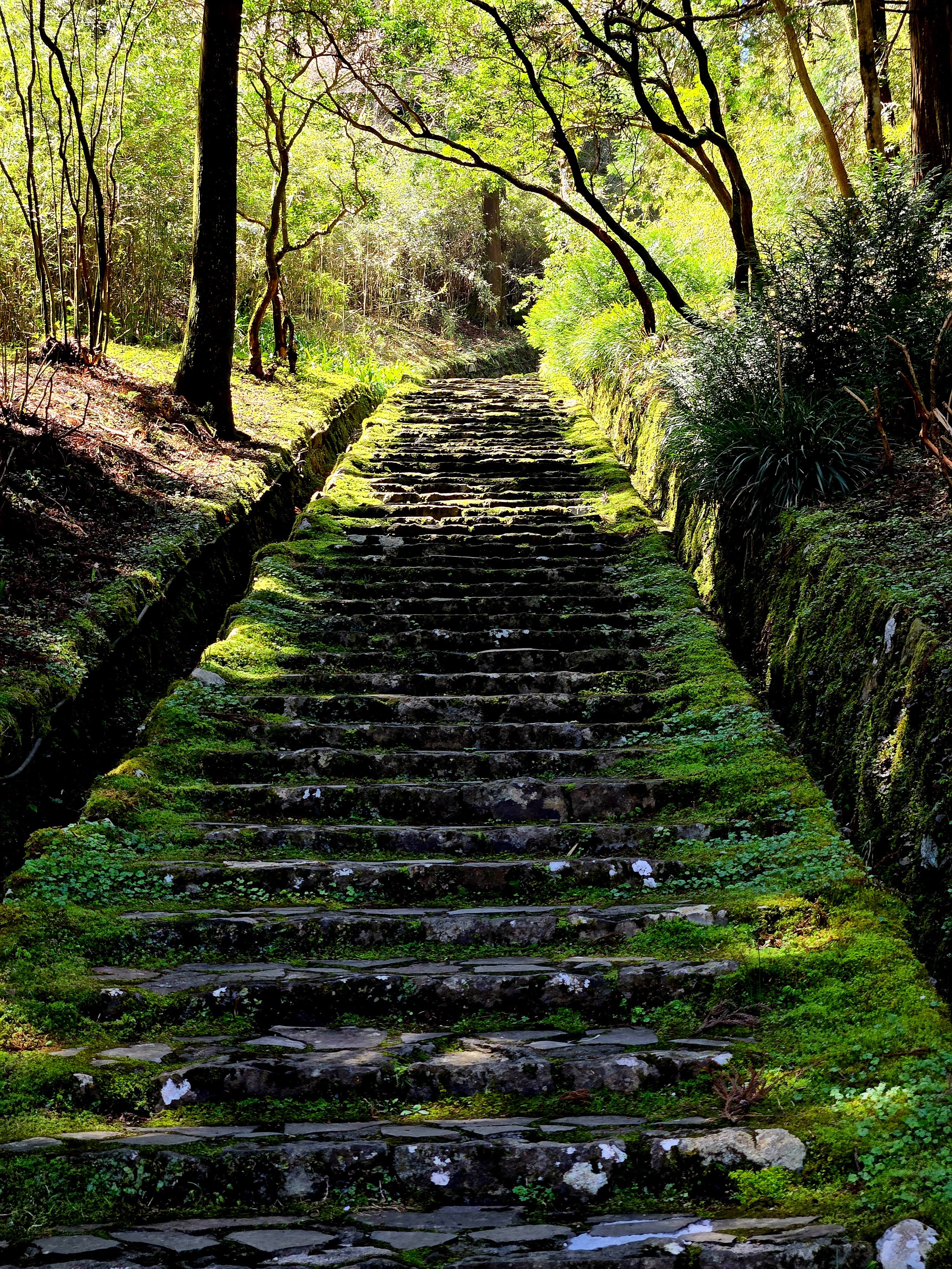 Days 12-13: Hakone