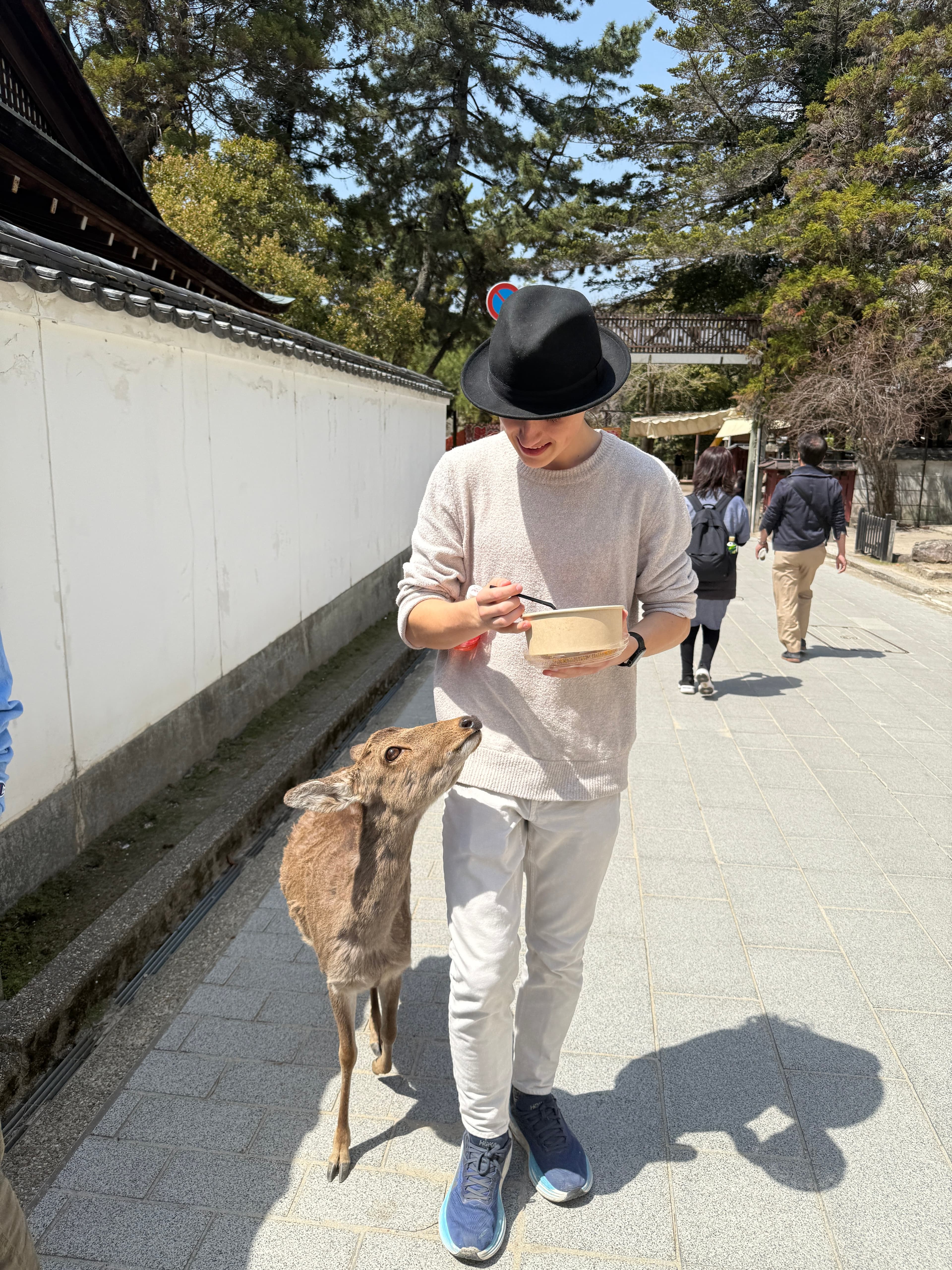 Days 6-7: Hiroshima