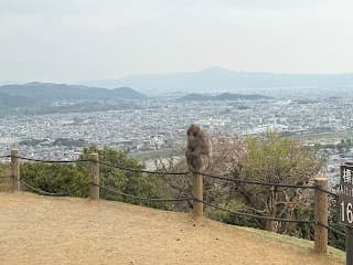 Days 8-11: Kyoto