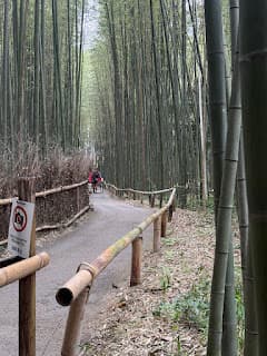 Days 8-11: Kyoto
