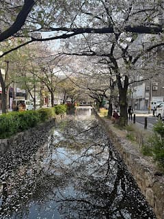Days 8-11: Kyoto