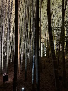 Days 8-11: Kyoto