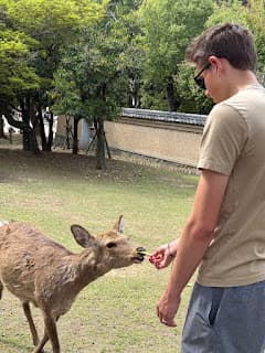 Days 8-11: Kyoto
