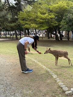 Days 8-11: Kyoto