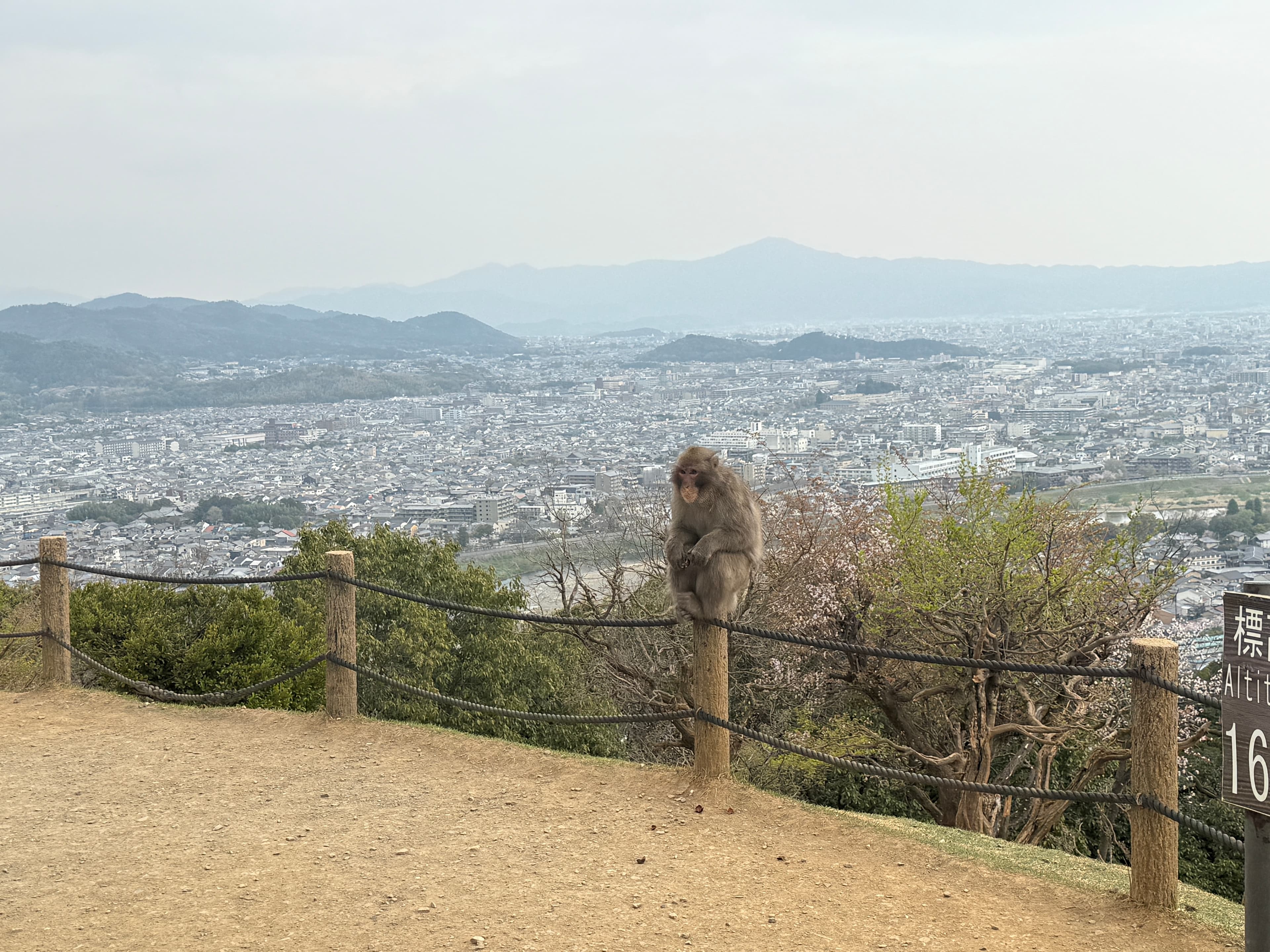 Days 8-11: Kyoto