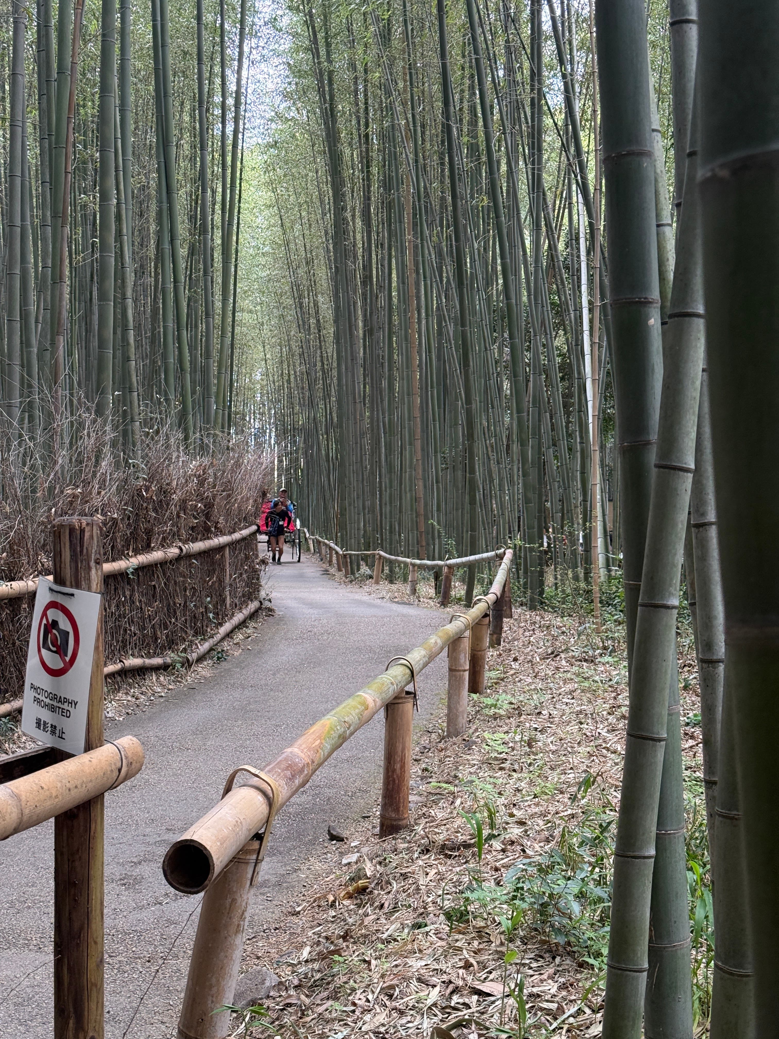 Days 8-11: Kyoto