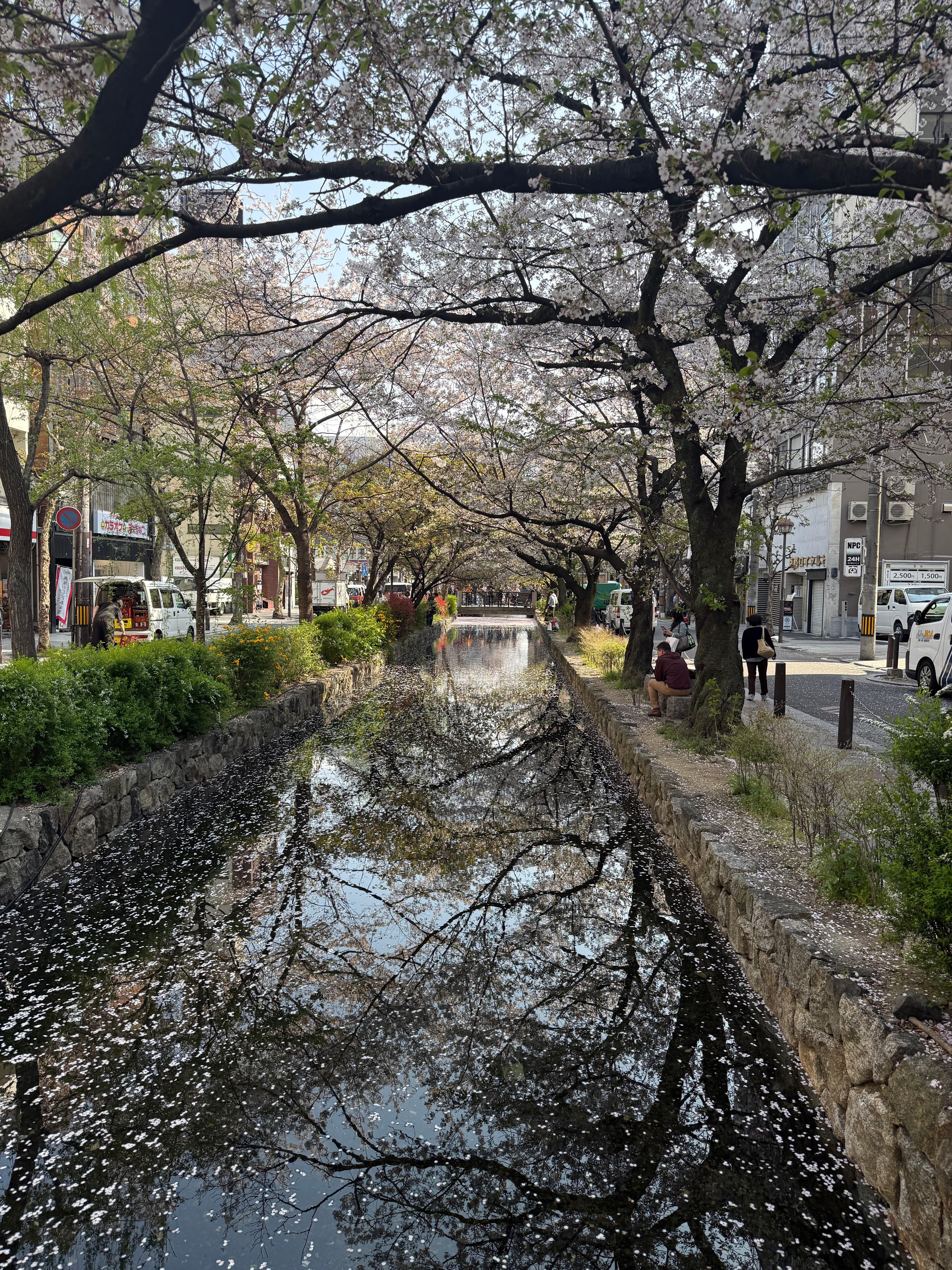 Days 8-11: Kyoto