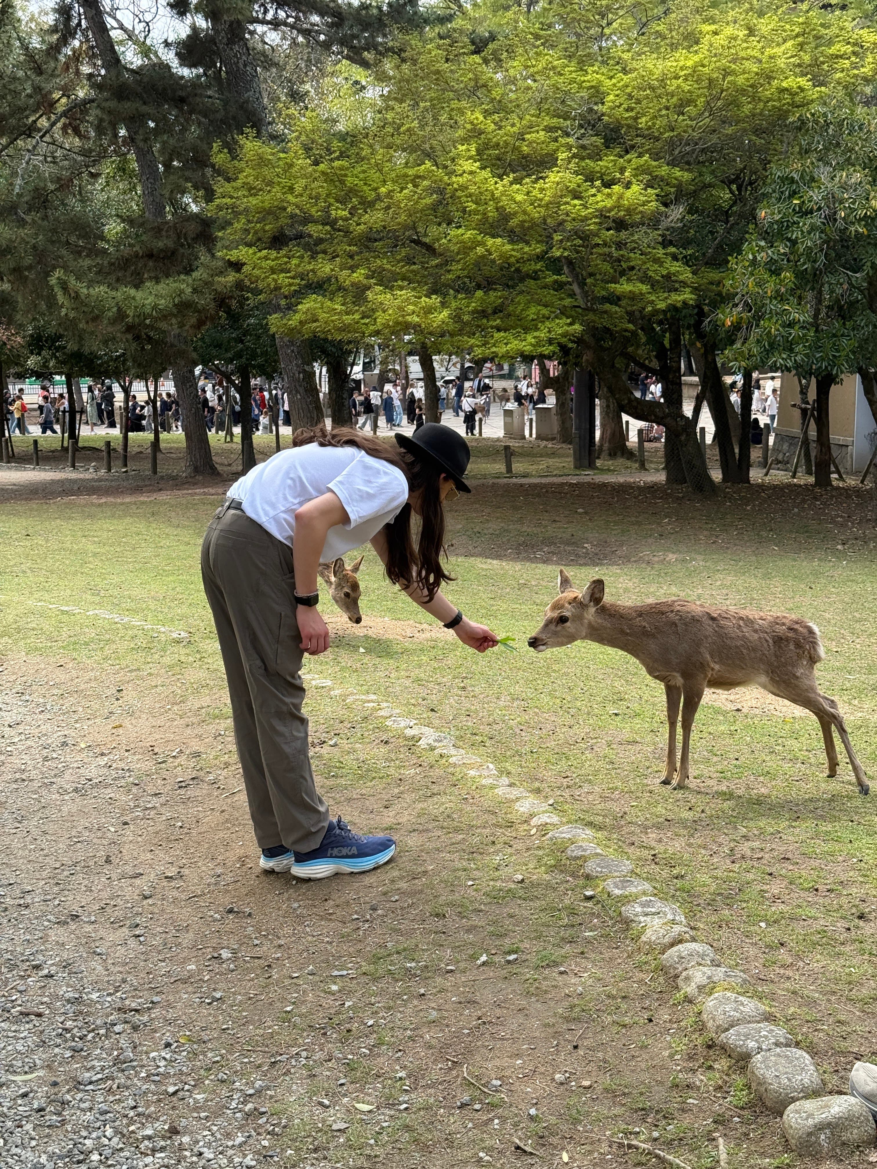 Days 8-11: Kyoto