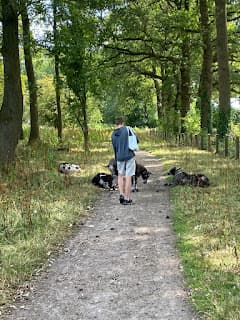 Utrecht, Netherlands Week 8-Finale