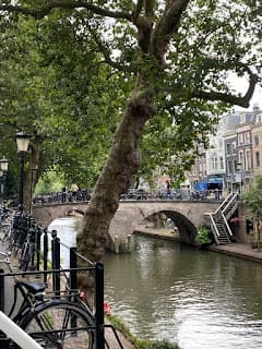 Utrecht, Netherlands Week 8-Finale