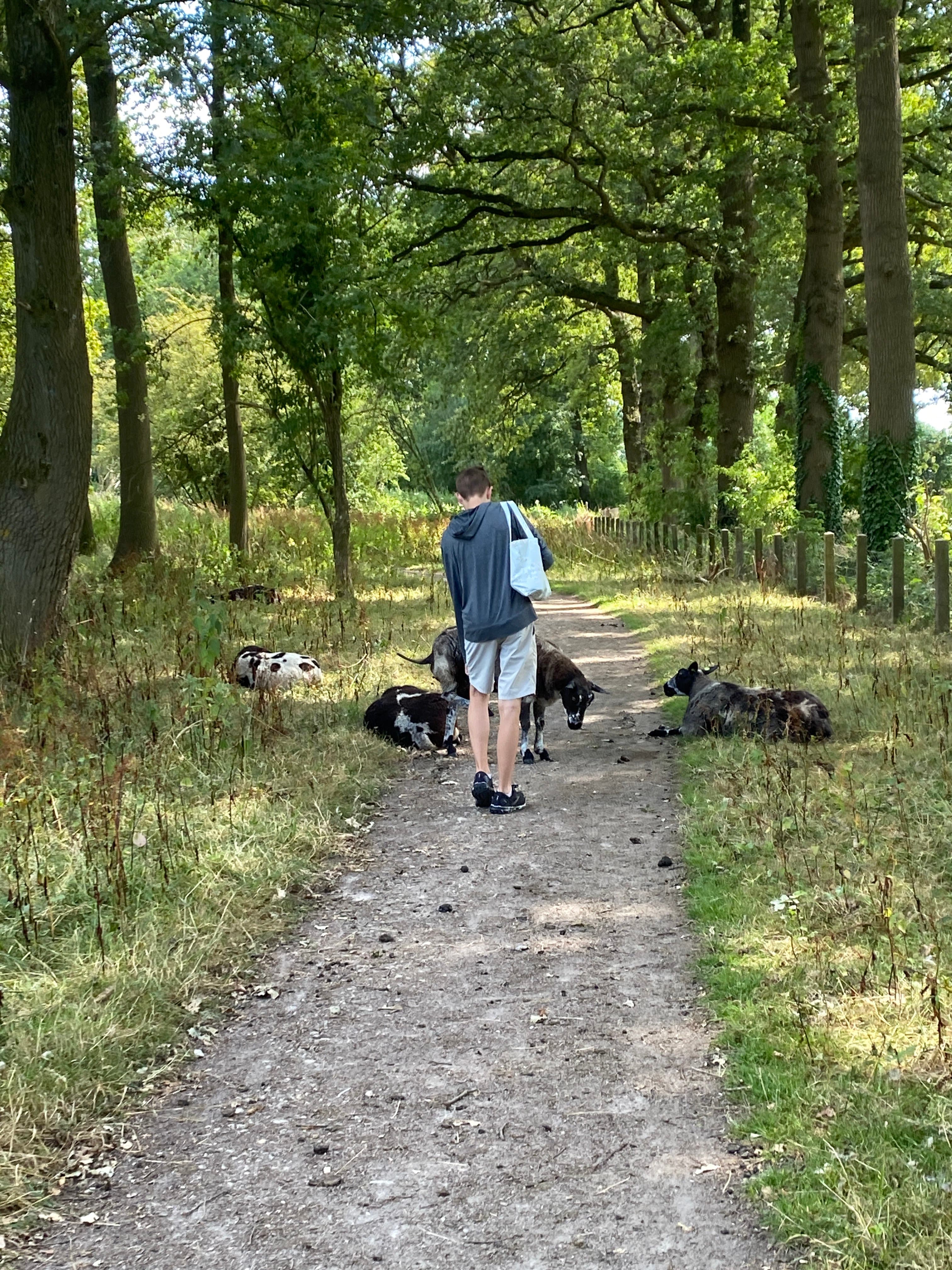 Utrecht, Netherlands Week 8-Finale