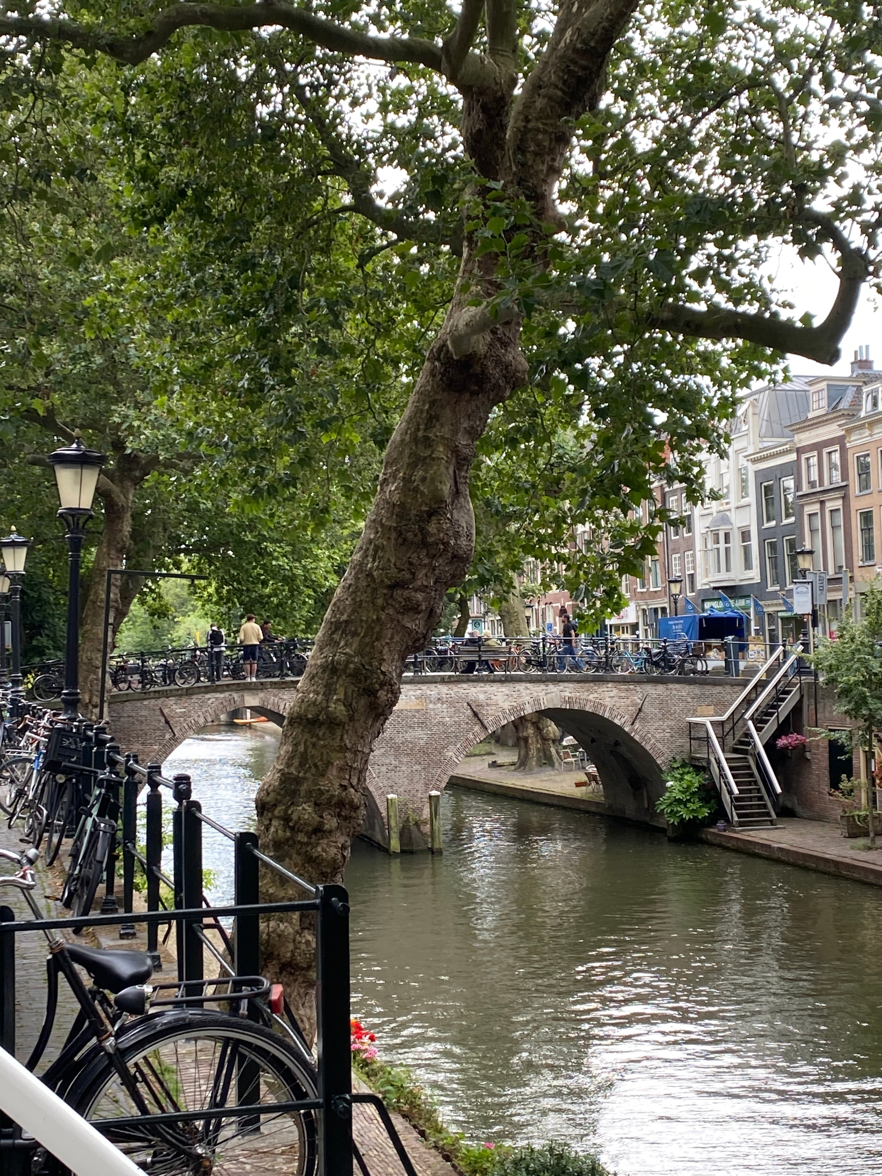Utrecht, Netherlands Week 8-Finale